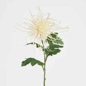 Spider Mum Floral Stem 71cm Cream by Florabelle Living, a Christmas for sale on Style Sourcebook