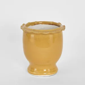 Petal Pot Mustard Small by Florabelle Living, a Christmas for sale on Style Sourcebook