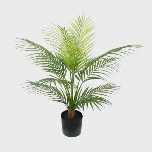 Areca Palm In Black Plastic Pot 60cm by Florabelle Living, a Christmas for sale on Style Sourcebook
