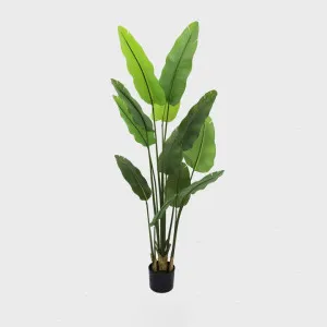 Bird of Paradise Real Touch 210cm by TREE CREATIONS, a Christmas for sale on Style Sourcebook