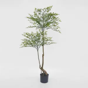 Green Nandina Tree 140cm by TREE CREATIONS, a Plants for sale on Style Sourcebook