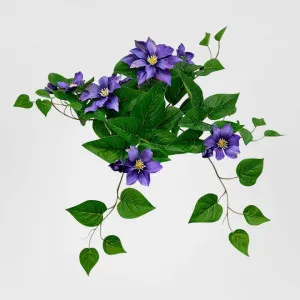 UV Trailing Clematis Bush Purple by Florabelle Living, a Decorative Accessories for sale on Style Sourcebook