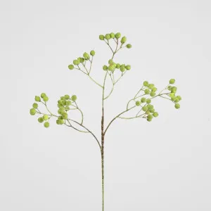 Berry Spray Green by Florabelle Living, a Decorative Accessories for sale on Style Sourcebook