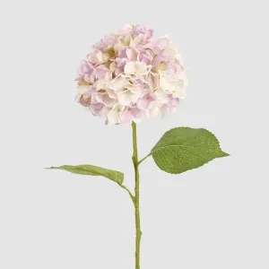 Claire Hydrangea Stem Pink by Florabelle Living, a Decorative Accessories for sale on Style Sourcebook