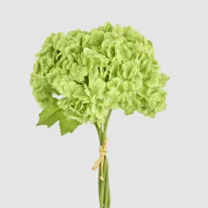 Mini Hydrangea Posy Green by Florabelle Living, a Decorative Accessories for sale on Style Sourcebook