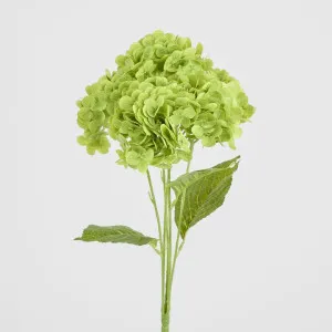 Real Touch Hydrangea 5 Head Bunch Green by Florabelle Living, a Decorative Accessories for sale on Style Sourcebook