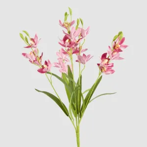 Cymbidium Spray With Leaves Dark Pink by JMC FLORALS, a Decorative Accessories for sale on Style Sourcebook