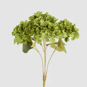 Hydrangea Bunch With 5 Heads Green by JMC FLORALS, a Plants for sale on Style Sourcebook