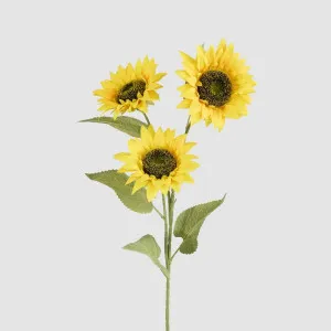 Sunflower Stem With 3 Heads by JMC FLORALS, a Plants for sale on Style Sourcebook