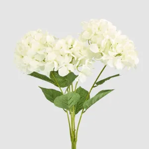Large Hydrangea Bunch White by JMC FLORALS, a Plants for sale on Style Sourcebook