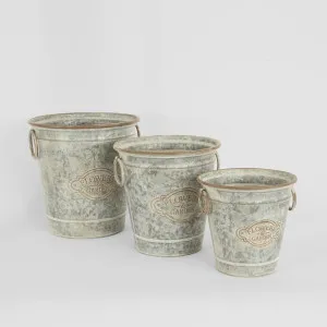 Parterre Round Zinc Planters Set of 3 by PERFECT PIECES, a Plant Holders for sale on Style Sourcebook