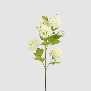 Snowball Spray White by Florabelle Living, a Plant Holders for sale on Style Sourcebook