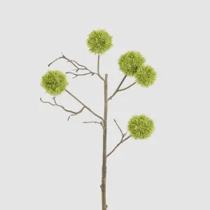 Thistle Globe Spray 80cm Green by Florabelle Living, a Plant Holders for sale on Style Sourcebook