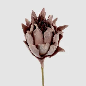 Glitter Protea Stem Brown by Vixen & Velvet, a Plants for sale on Style Sourcebook