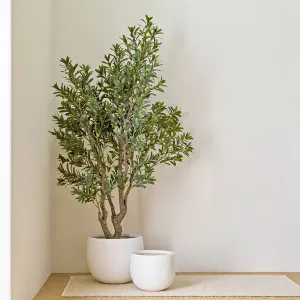Muse Paddington Planter White by Muse, a Plants for sale on Style Sourcebook