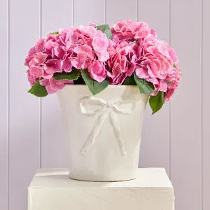 Muse Sweet Bow Planter White by Muse, a Plants for sale on Style Sourcebook