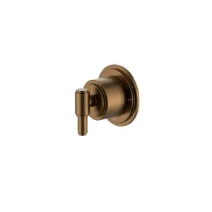 Manhattan Retrofit Shower Divertor Brushed Copper by Haus25, a Laundry Taps for sale on Style Sourcebook