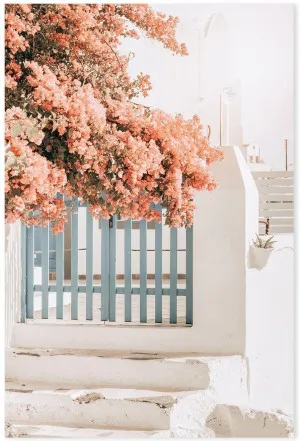 Pink Bougainvillea Flower and Blue Fence in Santorini by Gioia Wall Art, a Prints for sale on Style Sourcebook
