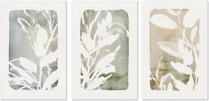 Cottage Floral, Style A, Style B & Style C, Set Of 3 by Gioia Wall Art, a Prints for sale on Style Sourcebook