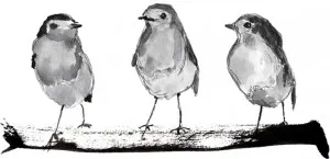 Three Robins On A Branch by Gioia Wall Art, a Prints for sale on Style Sourcebook