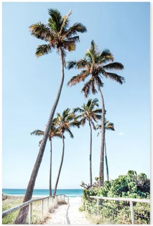 Gold Coast Palms, Main Beach, Queensland by Gioia Wall Art, a Prints for sale on Style Sourcebook