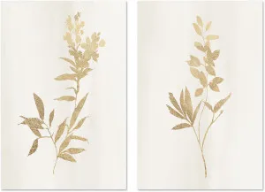 Golden Botanical, Style A & B, Set of 2 by Gioia Wall Art, a Prints for sale on Style Sourcebook