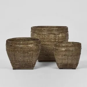 Paume Rattan Planter Set 3 Antique Brown ETA 20/01/2026 by Florabelle Living, a Baskets & Boxes for sale on Style Sourcebook