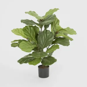 Set of 2 Artifical Fiddle Leaf Fig Potted Plantd 65cm by Florabelle Living, a Plants for sale on Style Sourcebook