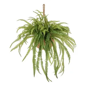 Boston Fern Hanging 96x100cm in Green by OZ Design, a Plants for sale on Style Sourcebook