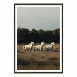 White Herd Framed Print in 103 x 143cm by OZ Design, a Prints for sale on Style Sourcebook