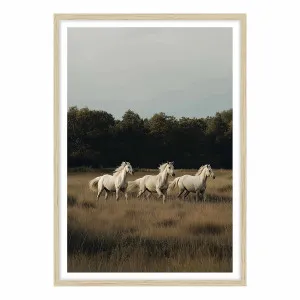 White Herd Framed Print in 84 x 118cm by OZ Design, a Prints for sale on Style Sourcebook