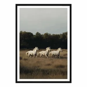 White Herd Framed Print in 95 x 133cm by OZ Design, a Prints for sale on Style Sourcebook