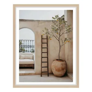 Arches & Citrus Framed Print in 103 x 143cm by OZ Design, a Prints for sale on Style Sourcebook
