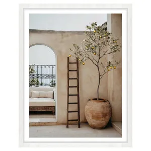 Arches & Citrus Framed Print in 118 x 165cm by OZ Design, a Prints for sale on Style Sourcebook