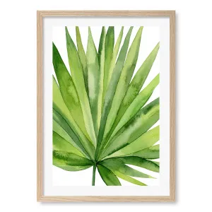 Fan Palm Leaf Framed Art Print by Profile Australia, a Prints for sale on Style Sourcebook