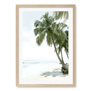Palm Island Dreams Framed Art Print by Profile Australia, a Prints for sale on Style Sourcebook