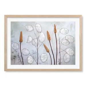 Lunaria Framed Art Print by Mandy Disher by Profile Australia, a Prints for sale on Style Sourcebook