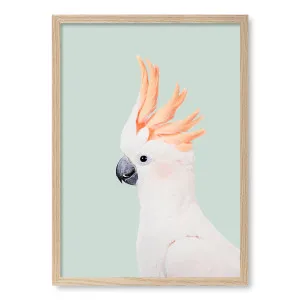 Cockatoo on Mint Framed Art Print by Kathrin Pienaar by Profile Australia, a Prints for sale on Style Sourcebook