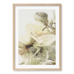 Hill Flowers 1 Framed Art Print by Dan Hobday by Profile Australia, a Prints for sale on Style Sourcebook