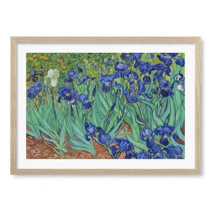 Irises Framed Art Print by Vincent van Gogh by Profile Australia, a Prints for sale on Style Sourcebook