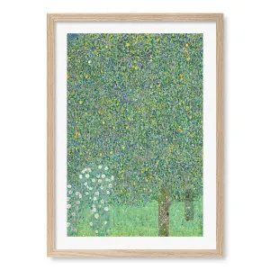 Rosebushes Framed Art Print by Gustav Klimt by Profile Australia, a Prints for sale on Style Sourcebook