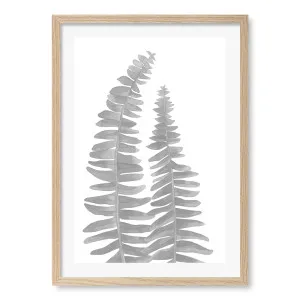 Fern Leaves Framed Art Print by Profile Australia, a Prints for sale on Style Sourcebook