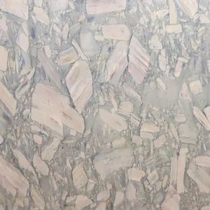 Nettuno Quartzite by CDK Stone, a Quartzite for sale on Style Sourcebook