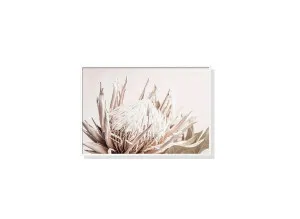 60cm x 90cm by Luxe Mirrors, a Prints for sale on Style Sourcebook