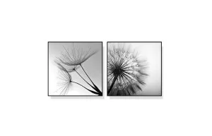 50cm x 50cm by Luxe Mirrors, a Prints for sale on Style Sourcebook