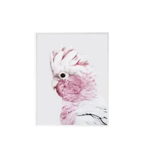 120cm x 80cm by Luxe Mirrors, a Prints for sale on Style Sourcebook