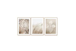 70cm x 50cm by Luxe Mirrors, a Prints for sale on Style Sourcebook