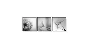 50cm x 50cm by Luxe Mirrors, a Prints for sale on Style Sourcebook