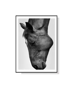 50cm x 70cm by Luxe Mirrors, a Prints for sale on Style Sourcebook