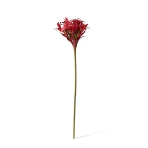 Gymea Lily Stem - 31 x 31 x 117cm by Elme Living, a Plants for sale on Style Sourcebook